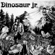 DINOSAUR JR. "Dinosaur Jr." LP.