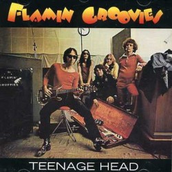 FLAMIN GROOVIES "Teenage Head" CD.