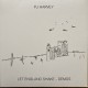 PJ HARVEY "Let England Shake Demos" LP.