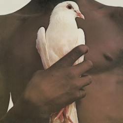 SANTANA "Santana's Greatest Hits" LP.