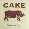 CAKE "Prolonging The Magic" LP.