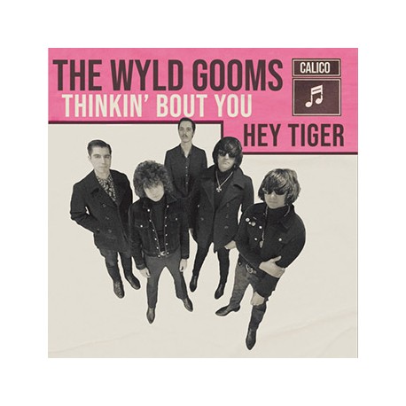 WYLD GOOMS "Thinkin' Bout You" SG 7"