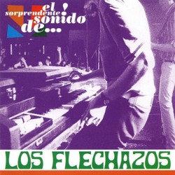 LOS FLECHAZOS "El Sorprendente Sonido De Los Flechazos" 2LPs.