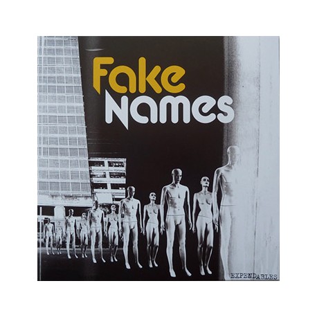 FAKE NAMES "Expensables" LP.