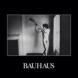 BAUHAUS "In The Flat Field" LP.