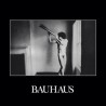 BAUHAUS "In The Flat Field" LP.