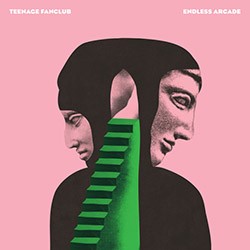 TEENAGE FANCLUB "Endless Arcade" LP.