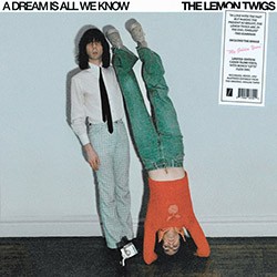 LEMON TWIGS "A Dream Is All We Know" LP.