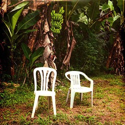 BAD BUNNY "Debí tirar Más Fotos" 2LP Color.