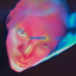 FONTAINES D.C. "Domapine Chamber" LP Color.