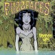 FUZZFACES "Voodoo Hits" CD Digipack