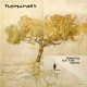 NOMINEES "Dowsing For The Water" CD Rock Indiana